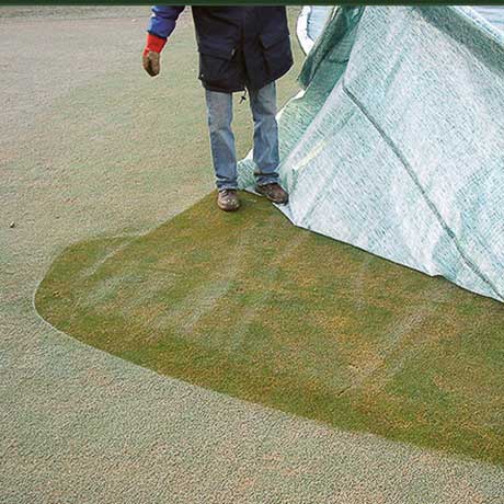 Evergreen Turf Cover Effect